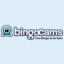 bingocams logo 90x90