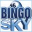 bingosky logo 90x90