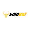 Wildbet.io Casino